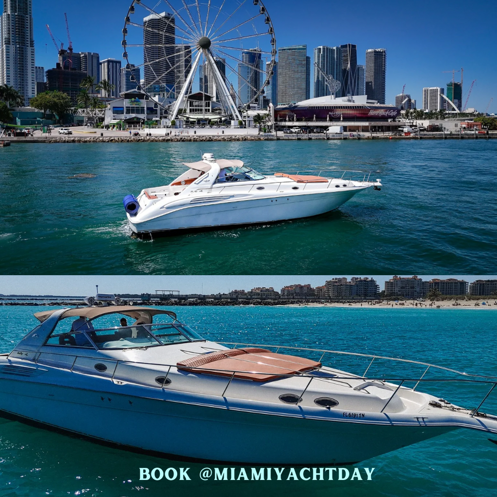 50' Sea Ray - swayluxx - Mandy B Pradofit Model Yachts available to book for event venue your Miami Yacht Day